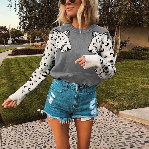 Animal print casual warm pullover women Streetwear long