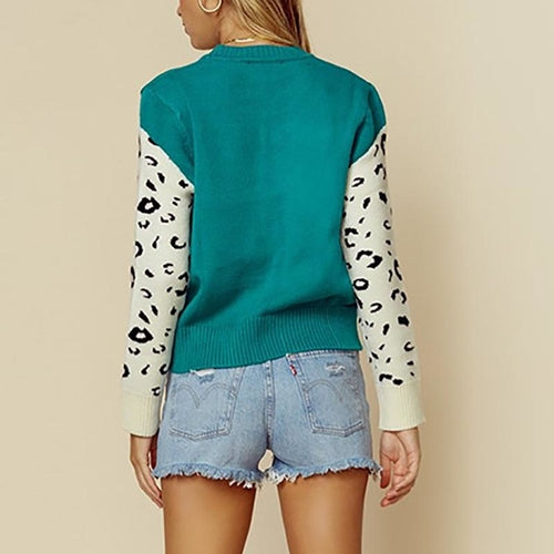 Animal print casual warm pullover women Streetwear long